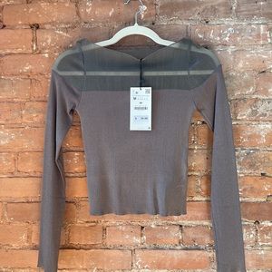 ZARA Sheer Top Sweater